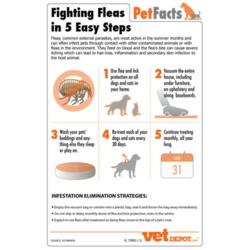Fighting Fleas in 5 Easy Steps VetDepot Infographic